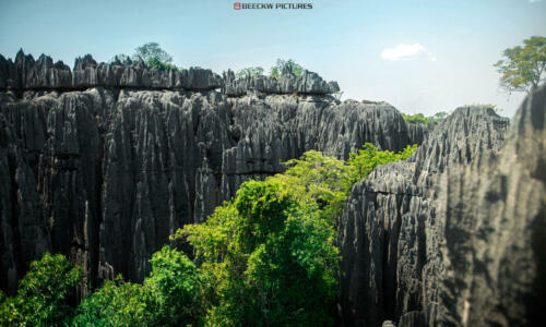 TSINGY BEMARAHA